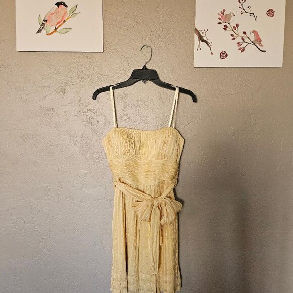 Pastel Yellow Silk Chiffon BCBGMAXAZRIA Dress Size 4 - Picture 6 of 6